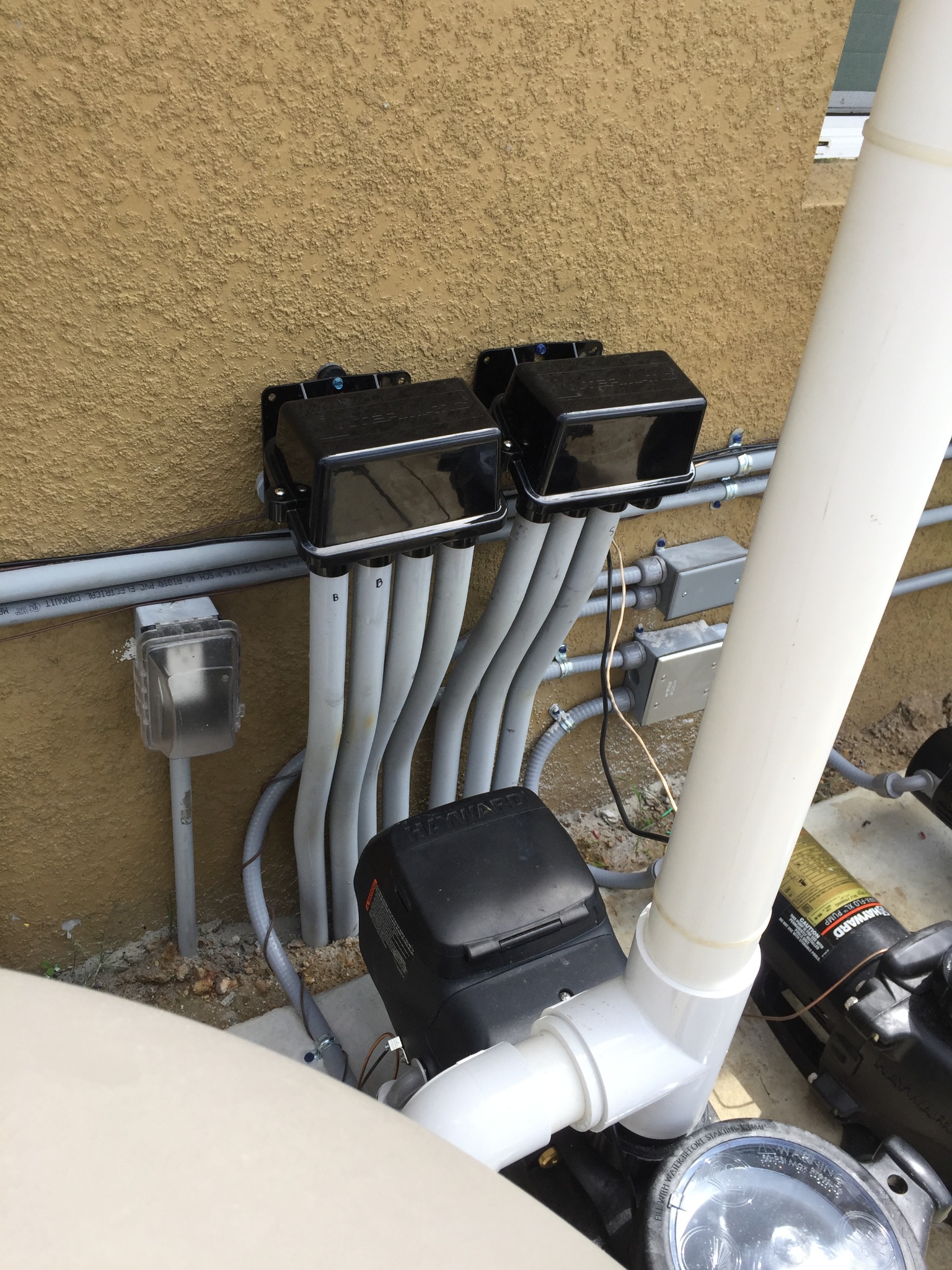 Two black weatherproof pool-light junction boxes mounted side by side on a stucco wall above the equipment pad, with five labeled gray PVC conduit sweeps curving down to grade, a clear weatherproof receptacle cover, metal junction boxes joined by liquid-tight flex, and Hayward pumps with white PVC plumbing below.